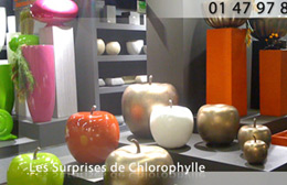 Chlorophylle Paris